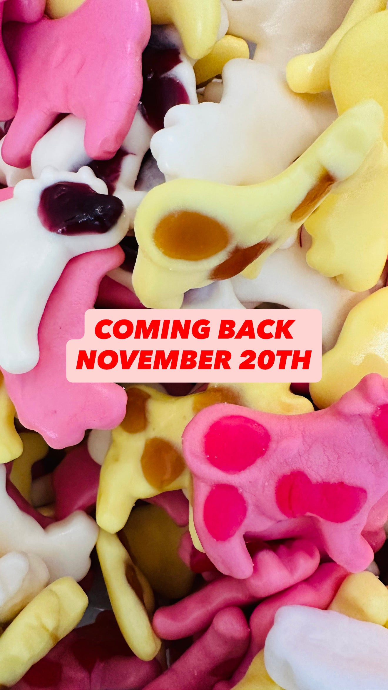 -4oz Fruity Foam Cows (GF)